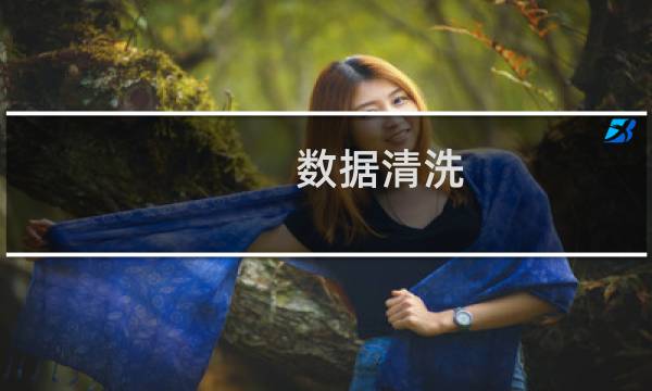 数据清洗 工具 - 数据清洗需要哪些配套工具